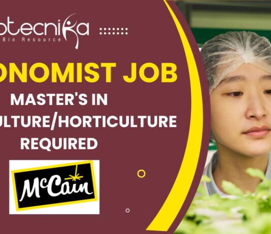 McCain Hiring Agronomist Job in Mehsana Apply for Agri Role Now