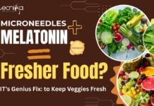 MIT-SMART Fresh Vegetables Technology - Microneedles + Melatonin