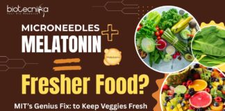 MIT-SMART Fresh Vegetables Technology - Microneedles + Melatonin