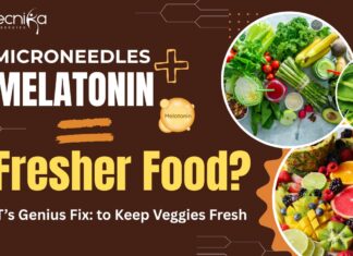MIT-SMART Fresh Vegetables Technology - Microneedles + Melatonin