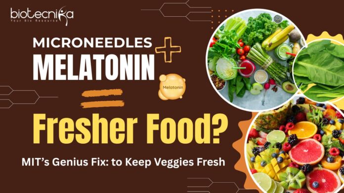 MIT-SMART Fresh Vegetables Technology - Microneedles + Melatonin