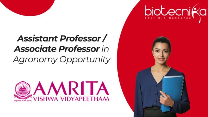 Assistant Professor / Associate Professor in Agronomy Opportunity
