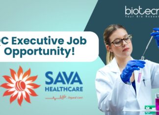 QC Executive Job Opportunity!