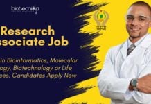 ICAR-NBPGR Bioinformatics Research Job