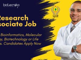 ICAR-NBPGR Bioinformatics Research Job