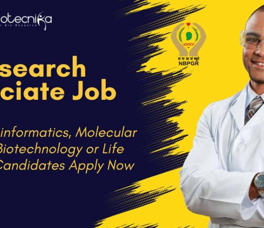 ICAR-NBPGR Bioinformatics Research Job