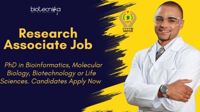 ICAR-NBPGR Bioinformatics Research Job