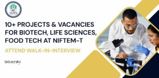 NIFTEM Project Jobs Food Technology