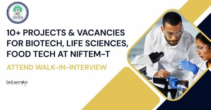 NIFTEM Project Jobs Food Technology