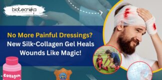 No More Painful Dressings? New Silk-Collagen Gel Heals Wounds Like Magic!