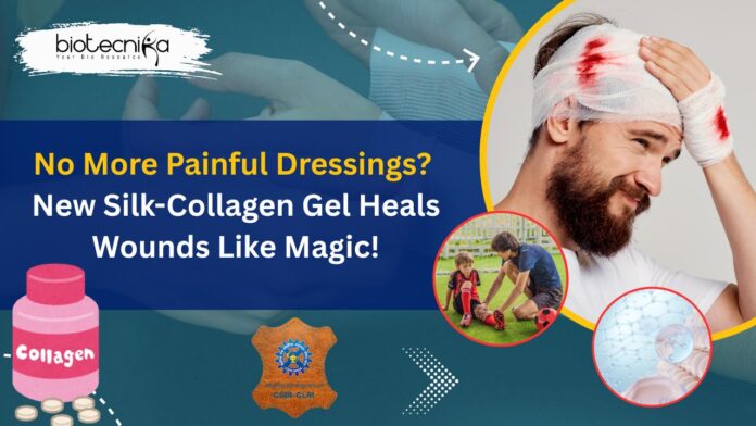 No More Painful Dressings? New Silk-Collagen Gel Heals Wounds Like Magic!