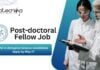 IIT Gandhinagar Post-doctoral Fellow Job Role | PhD in Biological Science Candidates Apply by May 17
