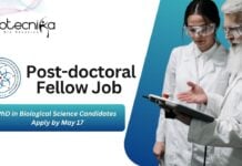 IIT Gandhinagar Post-doctoral Fellow Job Role | PhD in Biological Science Candidates Apply by May 17
