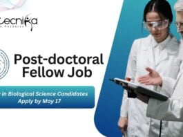 IIT Gandhinagar Post-doctoral Fellow Job Role | PhD in Biological Science Candidates Apply by May 17