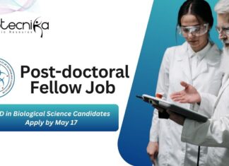 IIT Gandhinagar Post-doctoral Fellow Job Role | PhD in Biological Science Candidates Apply by May 17