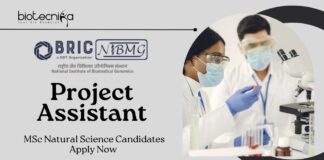 Project Assistant in Cancer Research at NIBMG | MSc Natural Science Candidates Apply Now