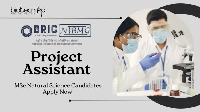 Project Assistant in Cancer Research at NIBMG | MSc Natural Science Candidates Apply Now
