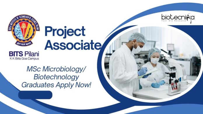 Project Associate at BITS Pilani Goa – MSc Microbiology/ Biotechnology Graduates Apply Now!