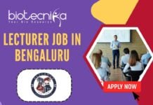 Lecturer Job in Bengaluru - Alliance University