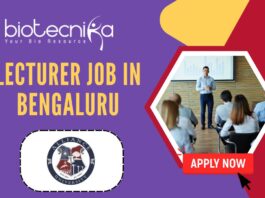 Lecturer Job in Bengaluru - Alliance University