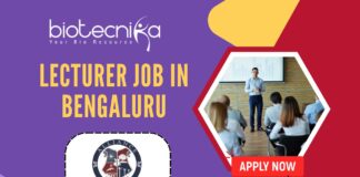 Lecturer Job in Bengaluru - Alliance University