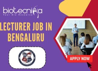 Lecturer Job in Bengaluru - Alliance University