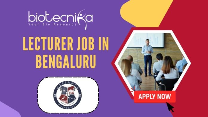 Lecturer Job in Bengaluru - Alliance University