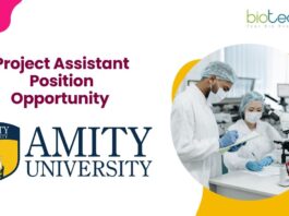 Project Assistant Position Opportunity