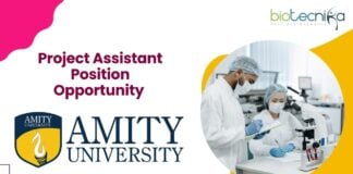 Project Assistant Position Opportunity