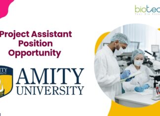 Project Assistant Position Opportunity