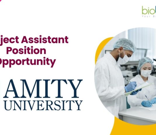 Project Assistant Position Opportunity
