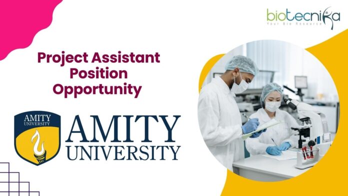 Project Assistant Position Opportunity