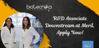 R&D Associate Downstream at Meril