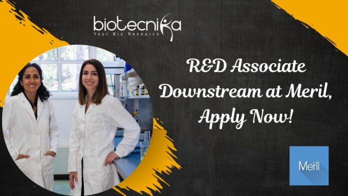 R&D Associate Downstream at Meril