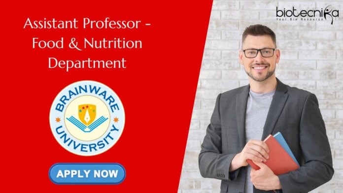 Assistant Professor - Food & Nutrition Department