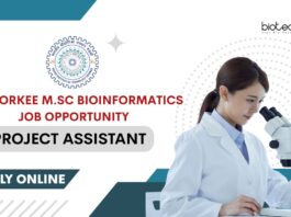 IIT Roorkee Project Assistant vacancy for M.Sc Bioinformatics!