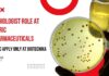 Microbiologist Jobs in Gujarat