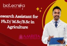 Research Assistant at Amrita School