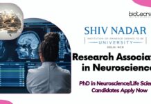 PhD Life Sciences Jobs at SNU – Apply For Research Associate Post Research Associate-I in Neuroscience, Shiv Nadar University | PhD in Neuroscience/Life Sciences Candidates Apply Now