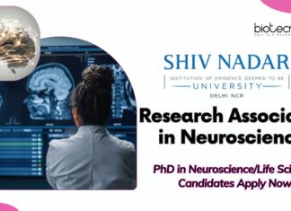 Research Associate-I in Neuroscience, Shiv Nadar University | PhD in Neuroscience/Life Sciences Candidates Apply Now
