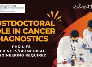 Research Associate Job at MAHE PhD Life SciencesBiomedical Engineering Required - Apply Now! (1)
