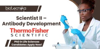 _Scientist II – Thermo Fisher Bangalore Antibody Development- PhD in Life Sciences Candidates Apply Now!