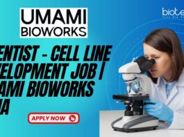 Scientist – Cell Line Development Job Umami Bioworks India