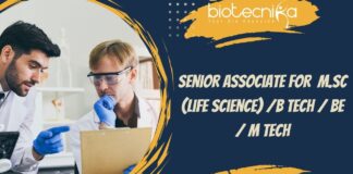 Senior Associate at EVERSANA
