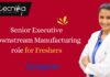 Senior Executive Downstream Manufacturing