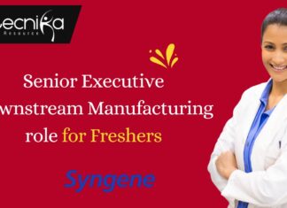 Senior Executive Downstream Manufacturing
