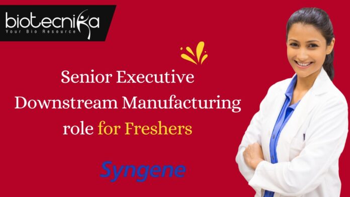 Senior Executive Downstream Manufacturing