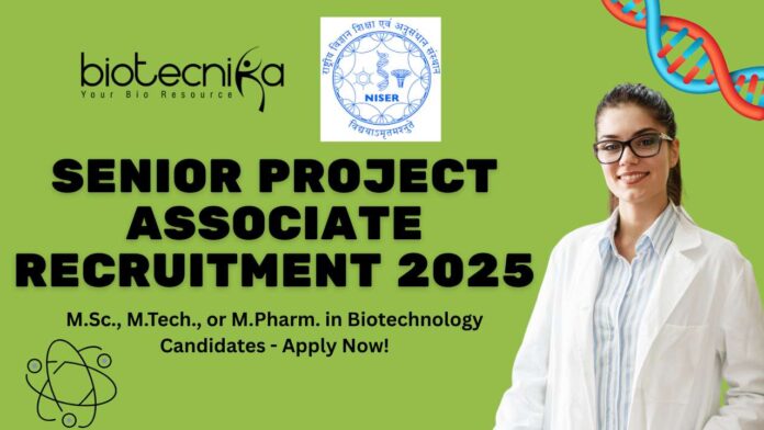 Senior Project Associate Recruitment 2025 at NISER Bhubaneswar