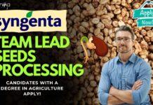 Team Lead Seeds Processing at Syngenta, Apply online! Team Lead Seeds Processing - Syngenta, Apply online!