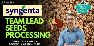 Team Lead Seeds Processing - Syngenta, Apply online!